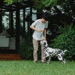 The Dog House слот игра с яркими собачками и бонусами